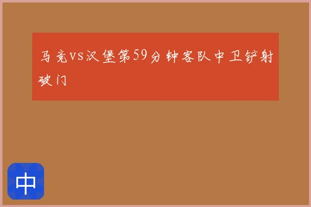 马竞vs汉堡第59分钟客队中卫铲射破门