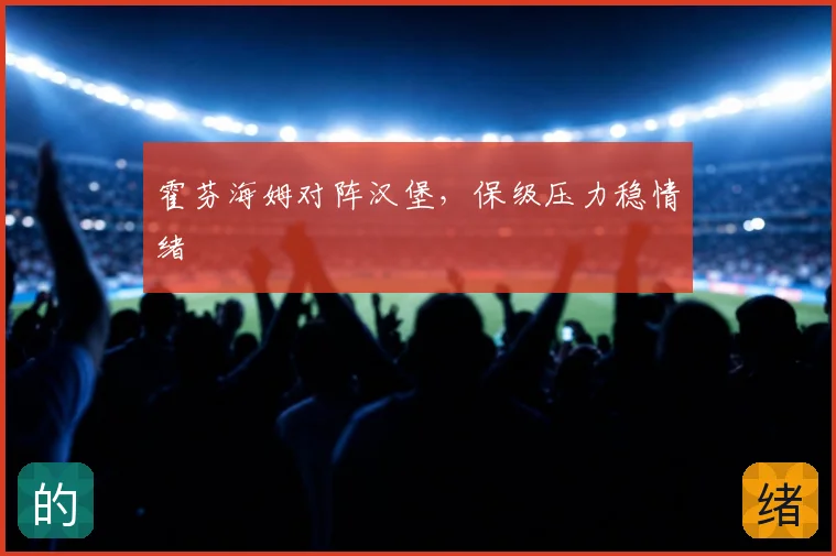 霍芬海姆对阵汉堡，保级压力稳情绪